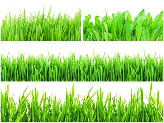 Similar image 5748618