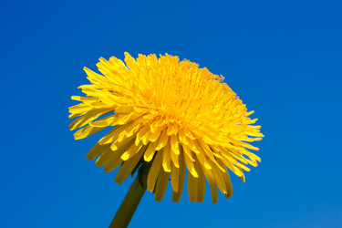 Similar image 5748638