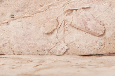 Similar image 5748976