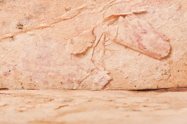 Similar image 5748992