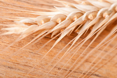 Similar image 5749007