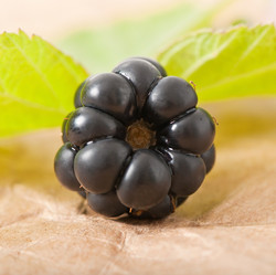 Similar image 5749018