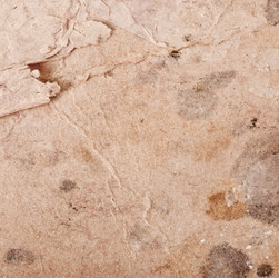 Similar image 5749050