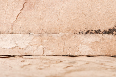 Similar image 5749051