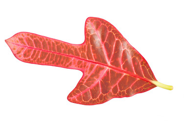 Similar image 5749064