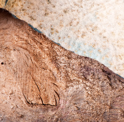 Similar image 5749079