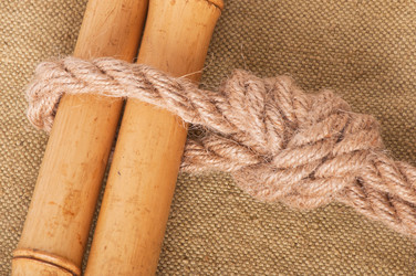 Similar image 5749089