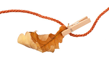 Similar image 5749106