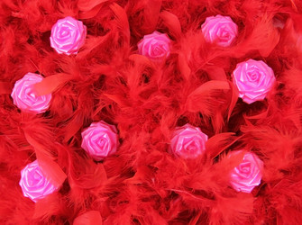 Similar image 5749108