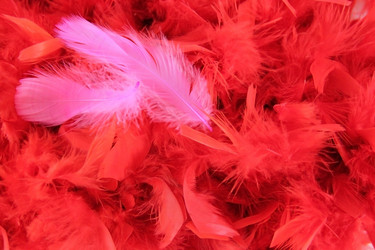 Similar image 5749109