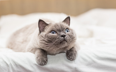 Similar image 5749691