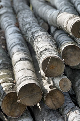 Similar image 5750002