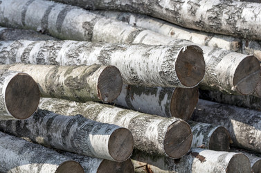 Similar image 5750003