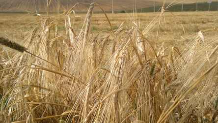 Similar image 5750412