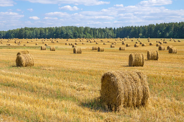 Similar image 5750423