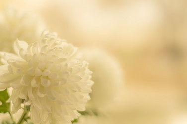 Similar image 5750439