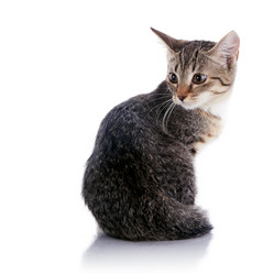 Similar image 5750489