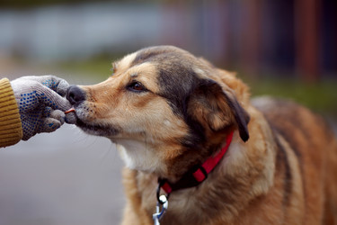 Similar image 5750492