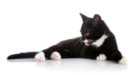 Similar image 5750495