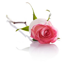 Similar image 5750498