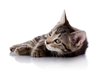 Similar image 5750502