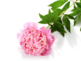 Similar image 5750503