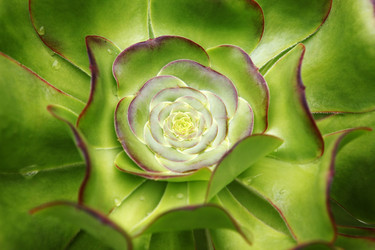 Similar image 5750576