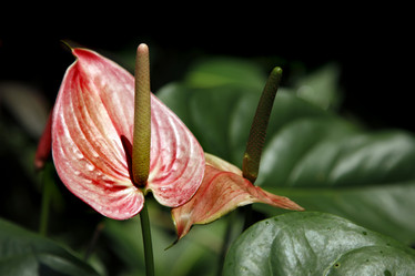 Similar image 5750581