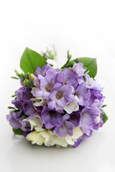 Similar image 5750595