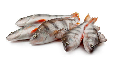 Similar image 5750666