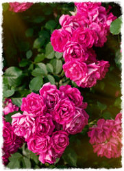 Similar image 5750673