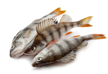 Similar image 5750674