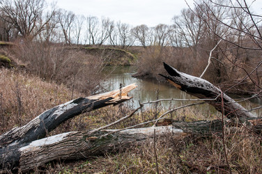 Similar image 5752397