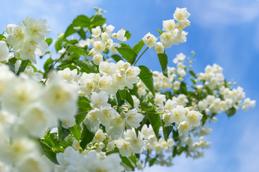 Similar image 5752842