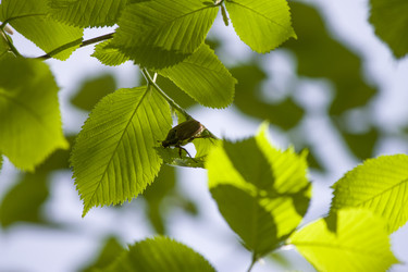 Similar image 5752907