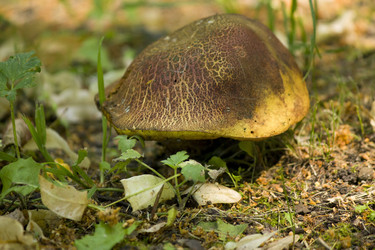 Similar image 5752911