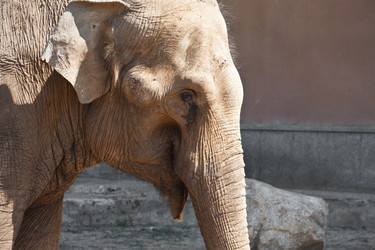 Similar image 5753287