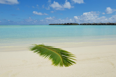 Similar image 5754012