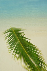 Similar image 5754013