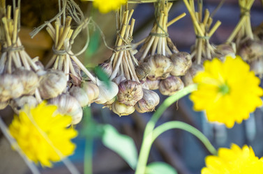 Similar image 5754029