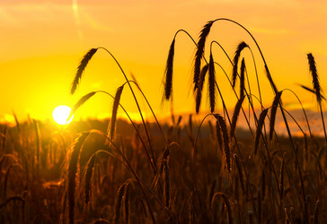 Similar image 5754030