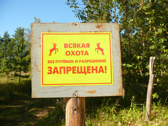 Similar image 5754031