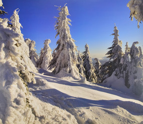 Similar image 5754053