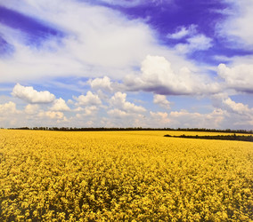 Similar image 5754056