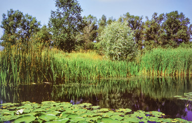 Similar image 5754057