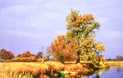 Similar image 5754060