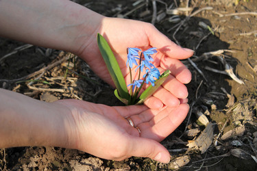 Similar image 5754072