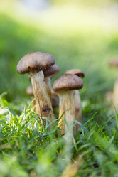 Similar image 5754108