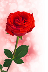 Similar image 5754124