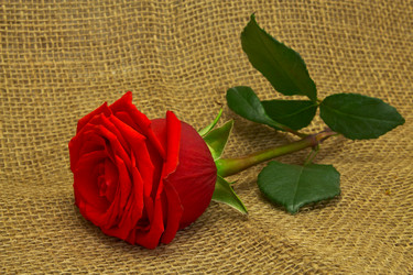 Similar image 5754125